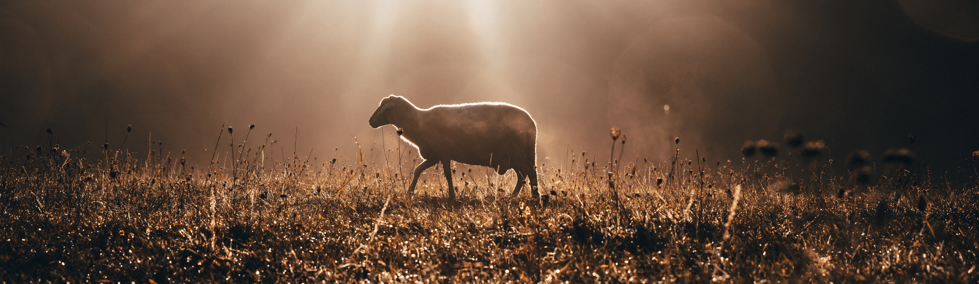 doulos (δοῦλος)